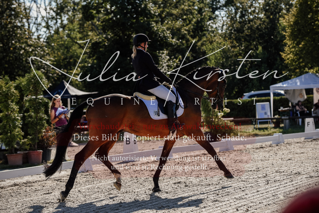 DSC_0302 | Pferde- und Turnierfotografie in Westsachsen. Pferdeportraits, Auftragszeichnungen und intuitive Kunst.