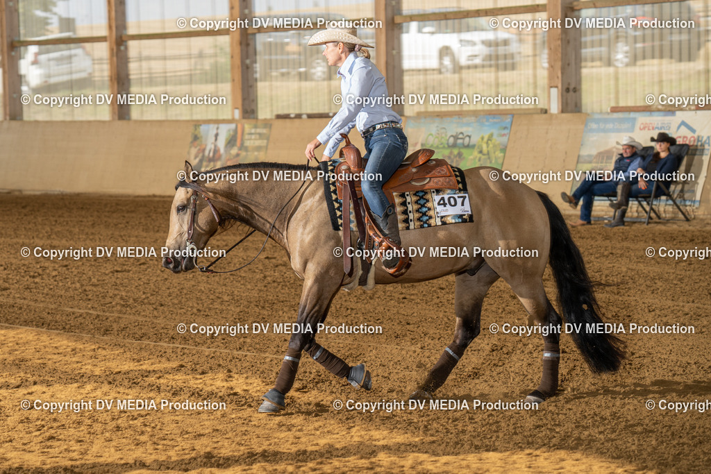 LAU01476 | dv-media-shop - Realisiert mit Pictrs.com