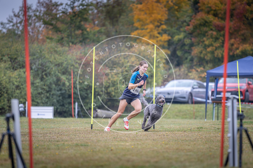 Pfotenfotografie_DV3A1040 | Hundefotografie, Tierfotograf, Pfotenfotografie, Fotoshooting Hund, Hunde Portrait, Hundesport, Hundeportraits, Heideshooting, Hunde, Sportfotograf, Hundefotograf, Turnierhundsport, THS,  - Realisiert mit Pictrs.com