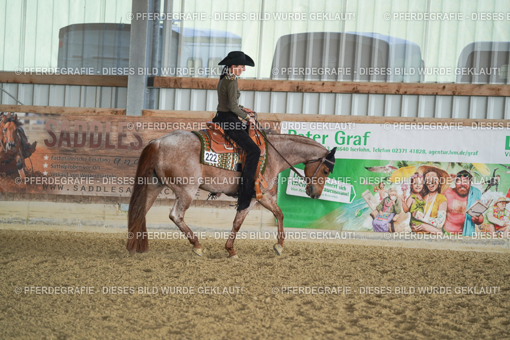 DSC09165 | Pferdegrafie