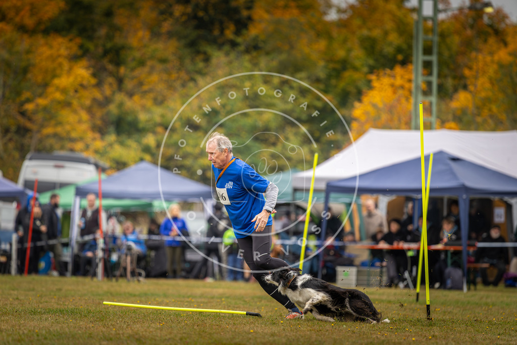 Pfotenfotografie_DV3A2143 | Hundefotografie, Tierfotograf, Pfotenfotografie, Fotoshooting Hund, Hunde Portrait, Hundesport, Hundeportraits, Heideshooting, Hunde, Sportfotograf, Hundefotograf, Turnierhundsport, THS,  - Realisiert mit Pictrs.com