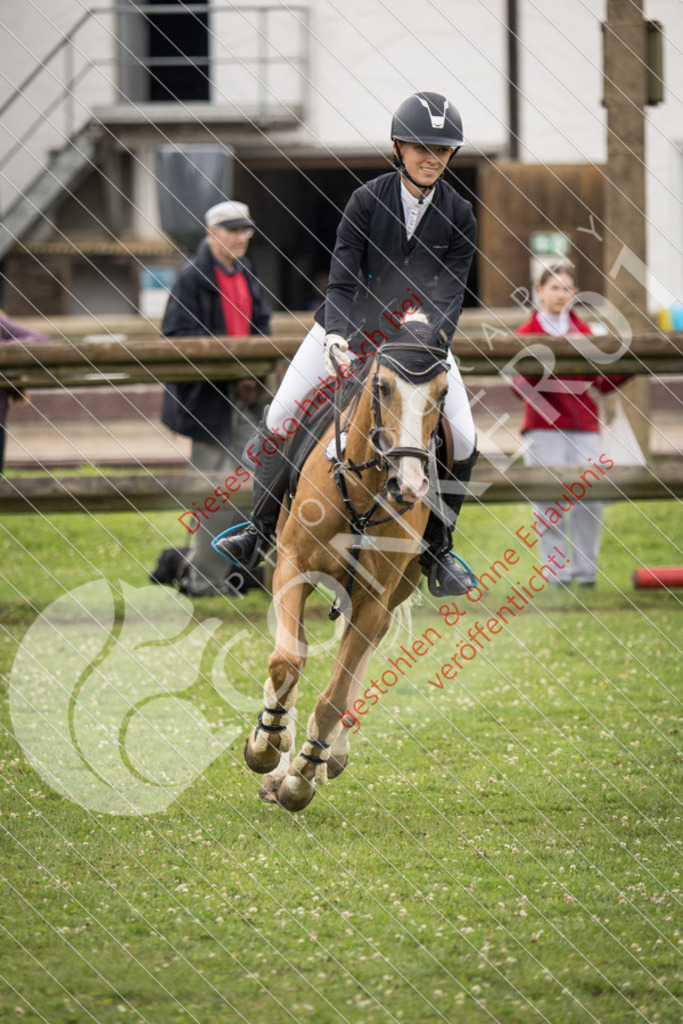 IMG_2375 | Sport-, Event- und Tierfotos in Profiqualität. Einfach auswählen, bestellen und herunterladen. Dein Moment – perfekt festgehalten.
