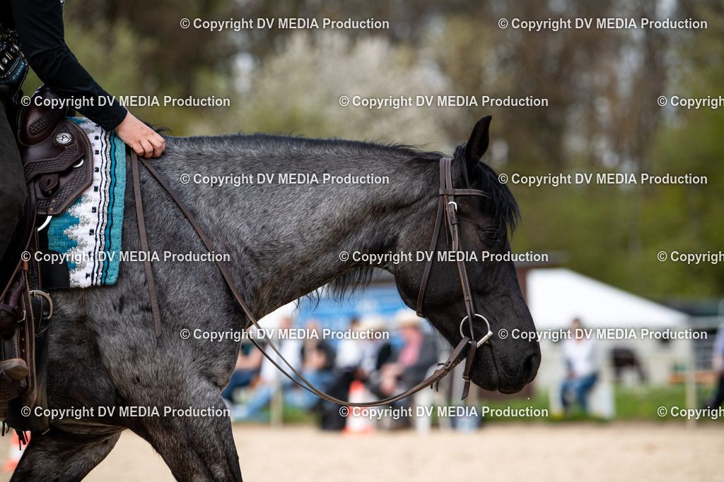 Heiligenwald Tag 1-720 | dv-media-shop - Realisiert mit Pictrs.com