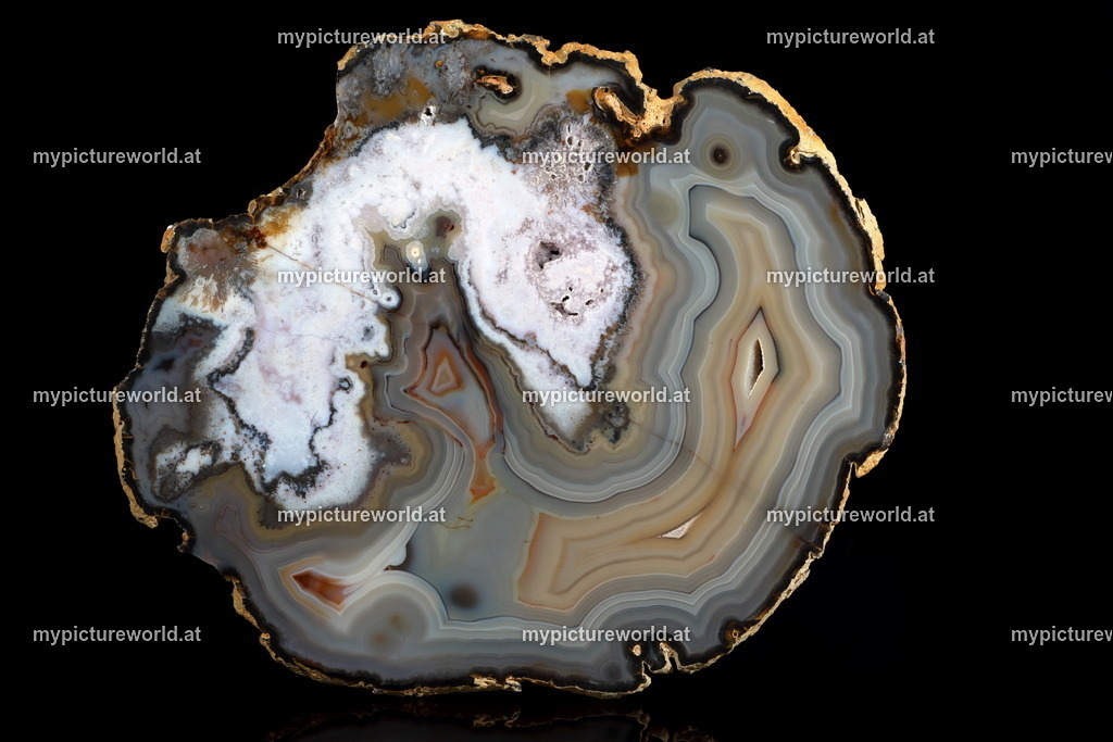 Achat-015 | Das Bilderarchiv über Tiere, Planzen und Landschaften. In der Bilddatenbank finden Sie ein große Auswahl an hochwertigen Bilder für Ihre Werbung - Realisiert mit Pictrs.com
