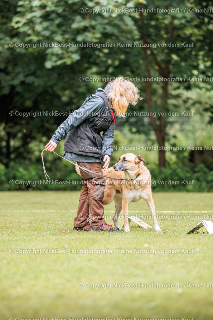 RO-Blumenthal-2026-Nickbest-Hundefotografie-1890 | Dein Hund! Dein Moment! Deine Erinnerungen! Hundefotografie in Bremen Blumenthal. Ich fange die besonderen Momente deines Vierbeiners ein – ob Indoor mit Blitzanlage oder in der freien Natur. Sicher dir dein Moment und dein Termin für eure Erinnerungen.