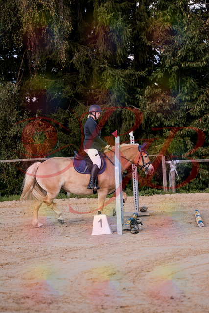 2026_10_03_Siefer-Hof_145225_Z81_31245201 | Professionelle Reitsport-, Turnier- und Eventfotografie von Robert Broda. Galerien mit ausgewählten und bearbeiteten Bildern direkt online ansehen und bestellen.