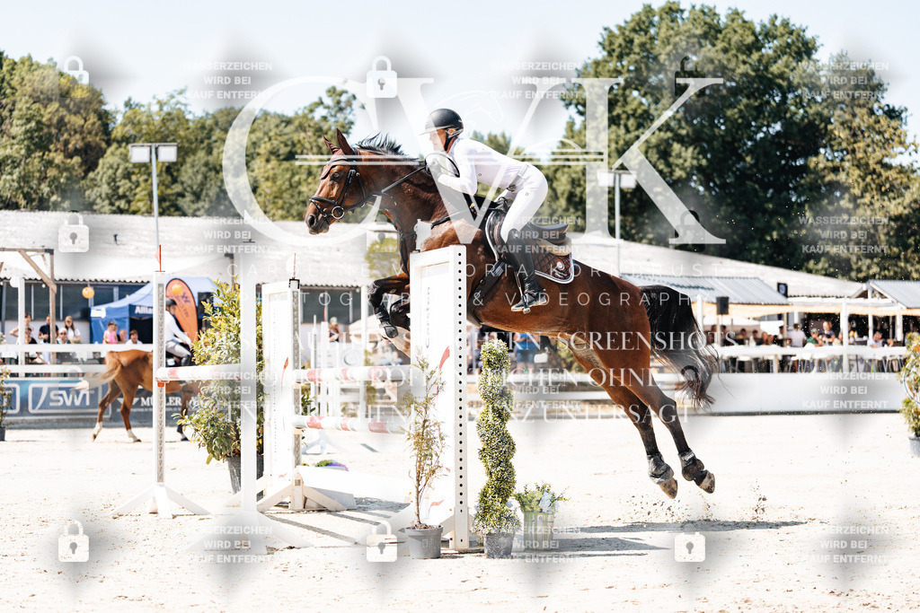 CK909509 | Turnierfotografie Pferdefotografie Trier Rheinland-Pfalz Pferdesport Reitsport Tierfotografie Sportfotografie Pferdevideo Pferdevideografie Equestrianvideography equestrianphotography  - Realisiert mit Pictrs.com