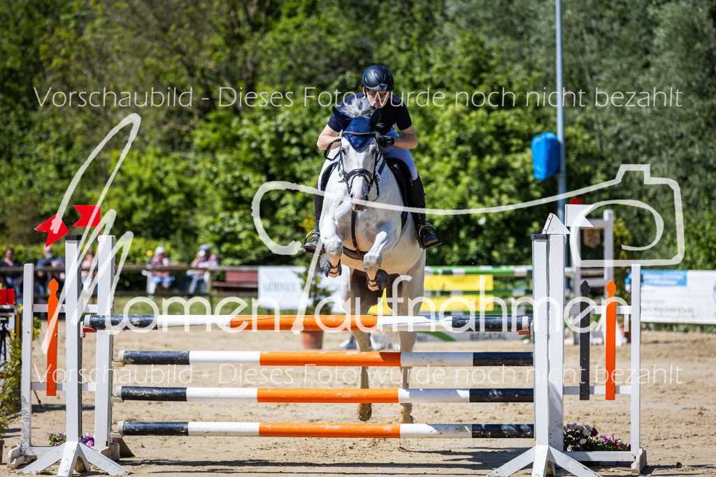 Donop24-L-Spr-023 | MomenTaufnahmen Pferdesportfotos