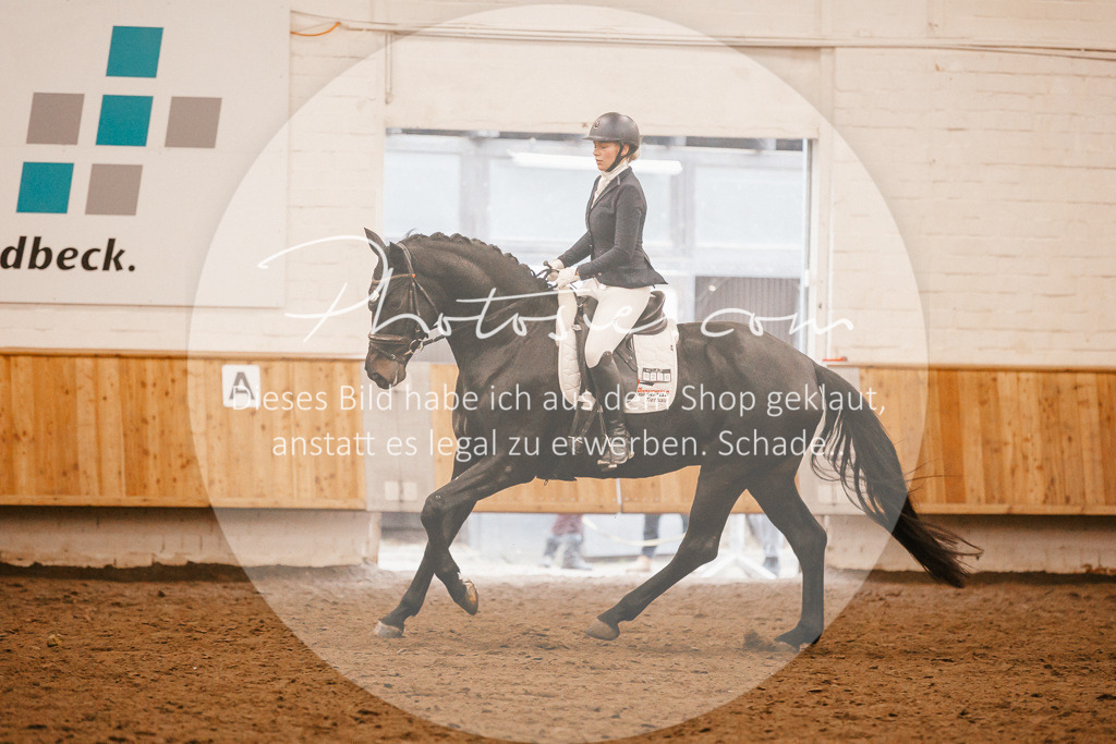 3I6A4726 | Stimmungsvolle Portraits und Reitsportfotografie im Ruhrgebiet und im Münsterland.

Pferdefotografie, Hundefotografie, Tierfotografie, Reportagen, Portraits von Tier und Mensch, Turnierfotografie in Bochum, Recklinghausen, Marl, Haltern am See, Dülmen.. - Realisiert mit Pictrs.com