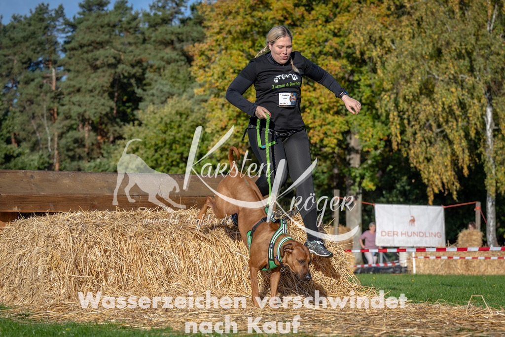 0954_ZZ91487 | kk-dogfotos