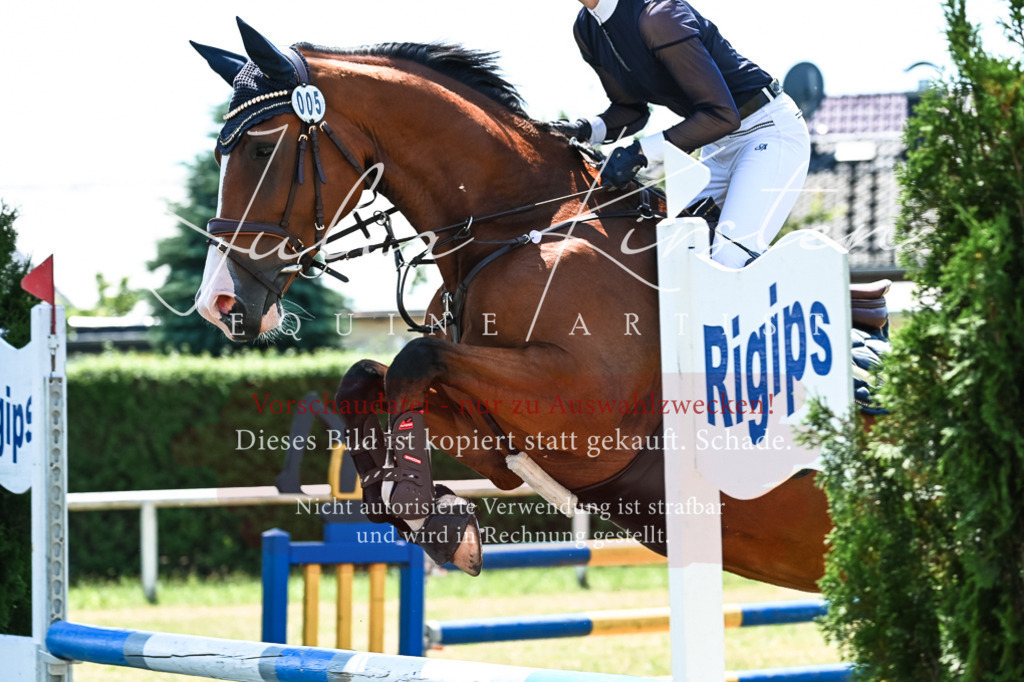 DSC_0191 | Pferde- und Turnierfotografie in Westsachsen. Pferdeportraits, Auftragszeichnungen und intuitive Kunst.