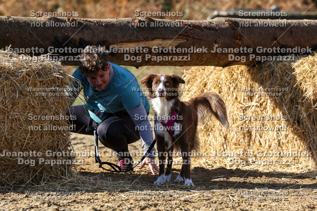 Dog Paparazzi - Strongdog 10-25-4726 | Dog Paparazzi Jeanette Grottendiek Fotografie & Videografie - Realisiert mit Pictrs.com