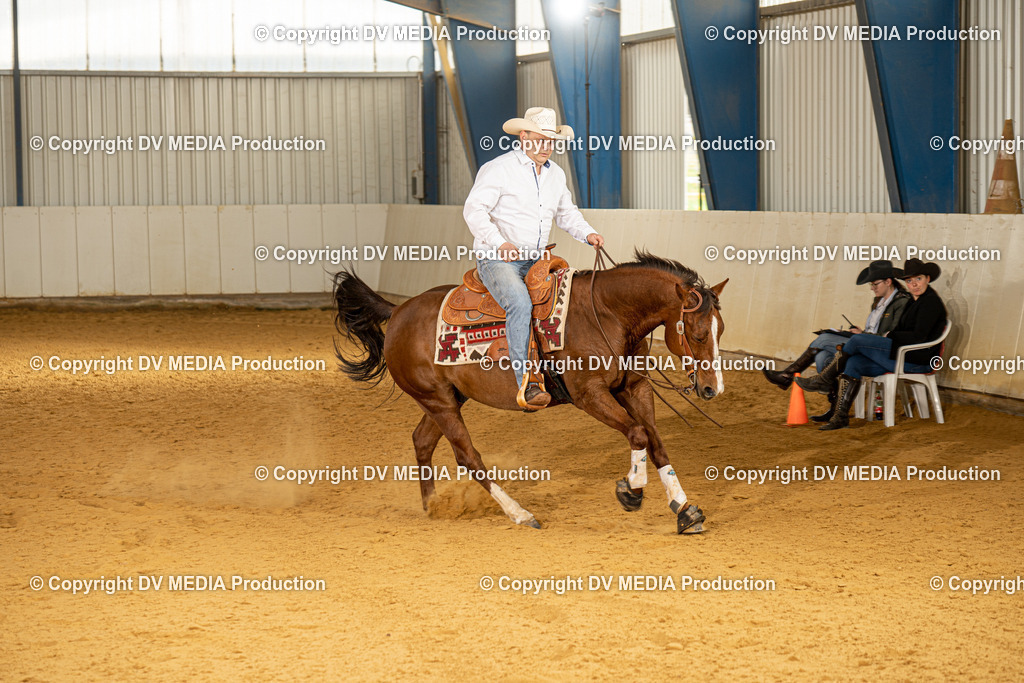 MIT00109 | dv-media-shop - Realisiert mit Pictrs.com