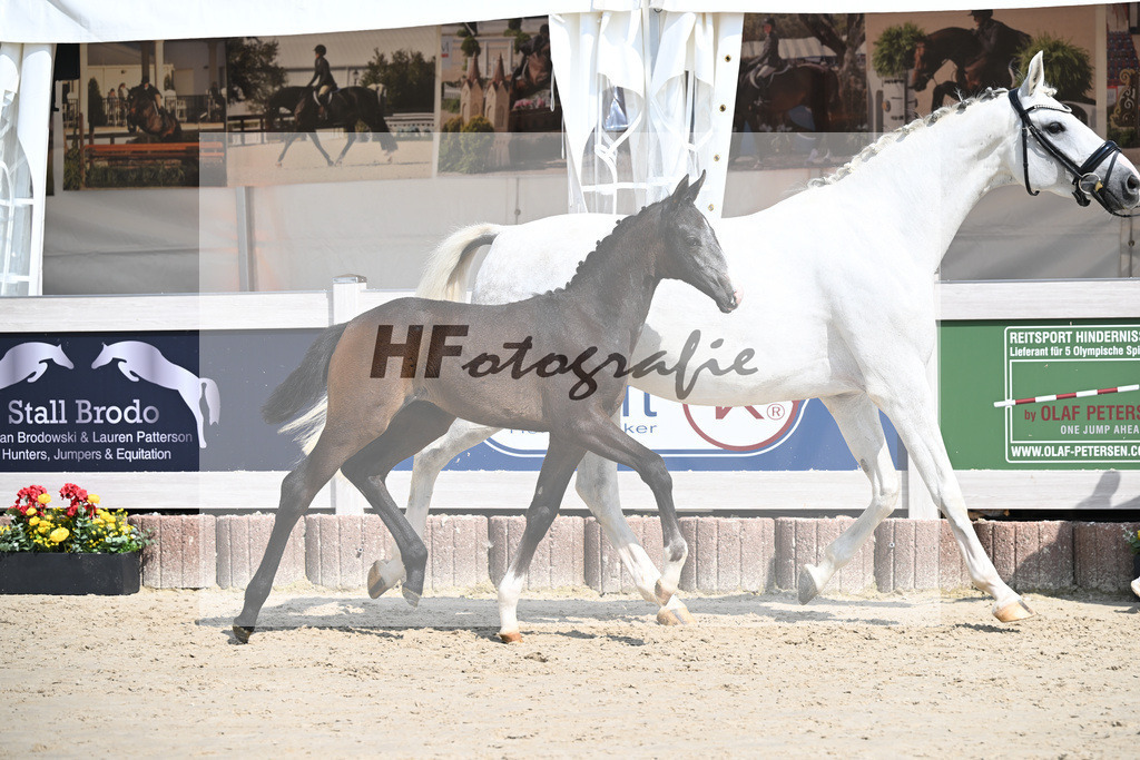 Esperanto x Boss Hoss_SF_Kraft_12250242 | hf-fotografie - Realisiert mit Pictrs.com