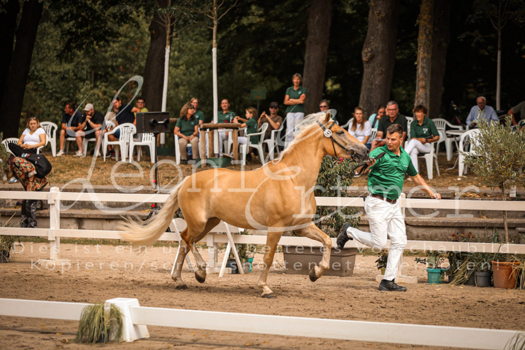 06.So00007 | Leoni Ertmer Photography - Realisiert mit Pictrs.com