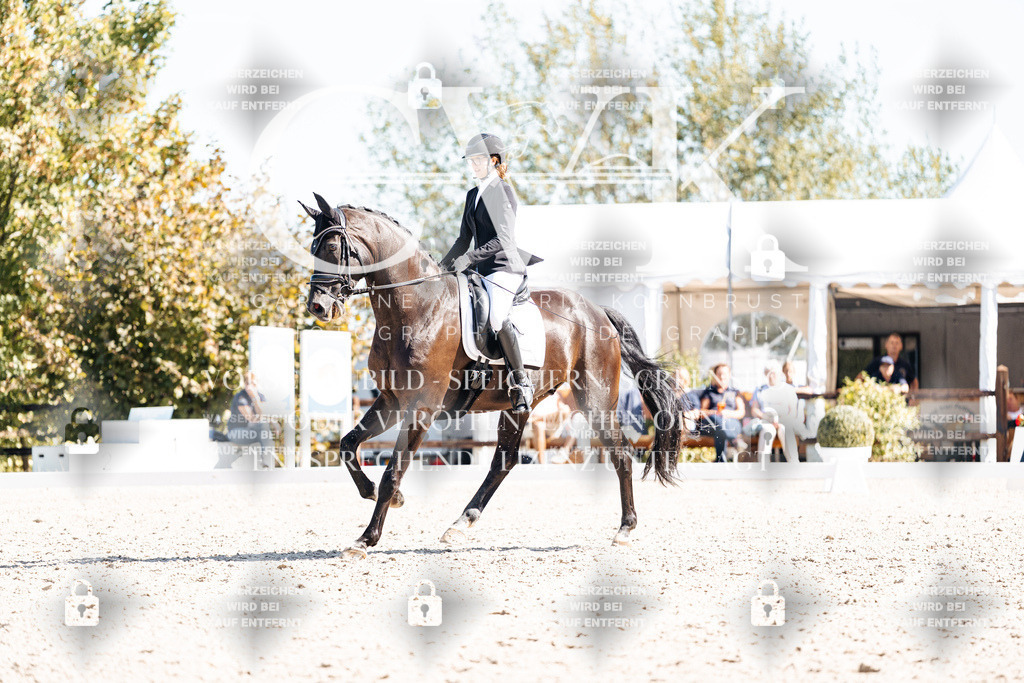 CK909431 | Turnierfotografie Pferdefotografie Trier Rheinland-Pfalz Pferdesport Reitsport Tierfotografie Sportfotografie Pferdevideo Pferdevideografie Equestrianvideography equestrianphotography  - Realisiert mit Pictrs.com