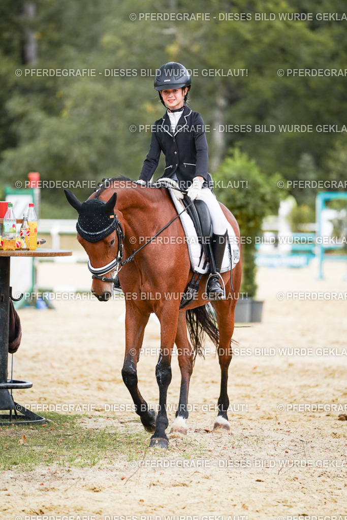 DSC06056 | Pferdegrafie