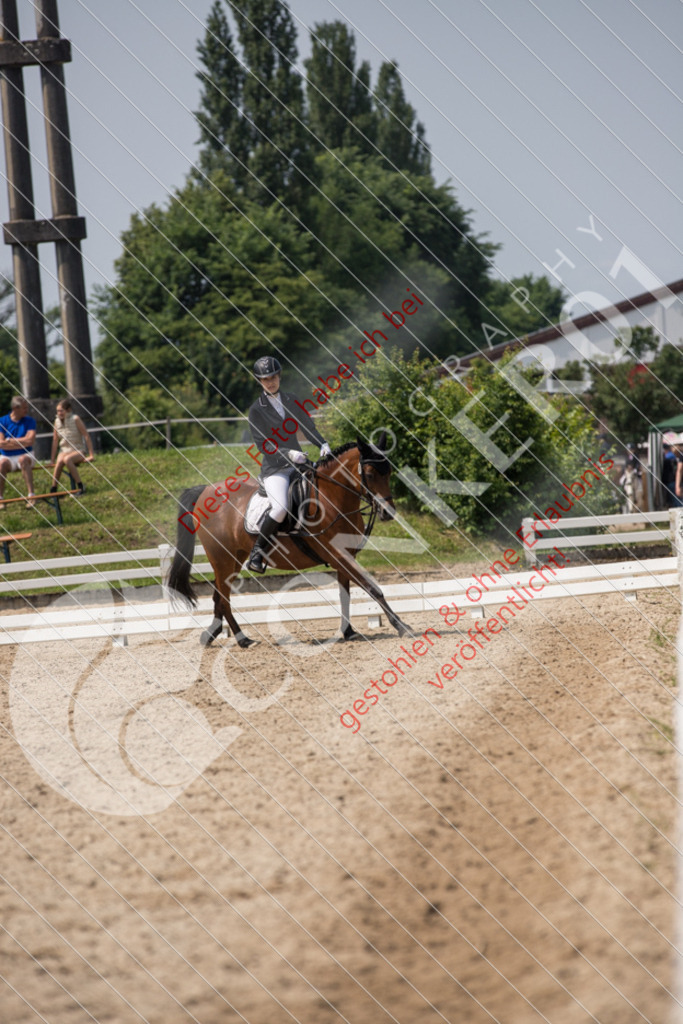 IMG_3564 | Sport-, Event- und Tierfotos in Profiqualität. Einfach auswählen, bestellen und herunterladen. Dein Moment – perfekt festgehalten.
