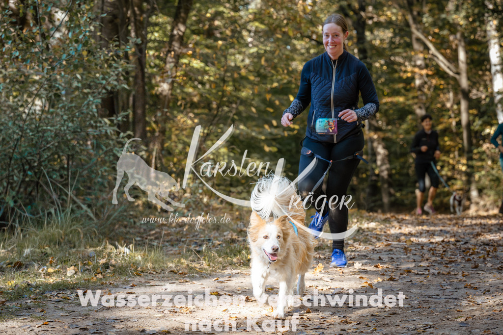 1229_ZZ95333 | kk-dogfotos