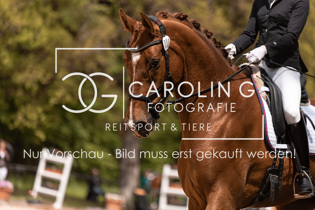 DSC_0547 | Turnierfotografin Carolin Gieschke, Turnierfotografie Carolin G Fotografie, Turnierfotos Kirchheim/Teck, Esslingen, Stuttgart, Bodenseekreis