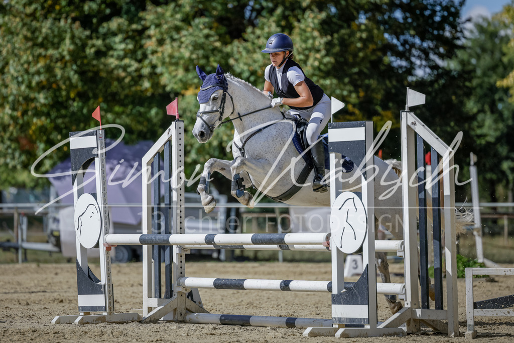 20250906-_3LI6416 | Tierfotografie Pferde, Hunde, Katzen, Haustiere.
Turnierfotografie Reitturniere, Reiten, Springreiten, Dressur in Hanau, dem Main-Kinzig-Kreis und dem Rhein-Main- Gebiet um Frankfurt