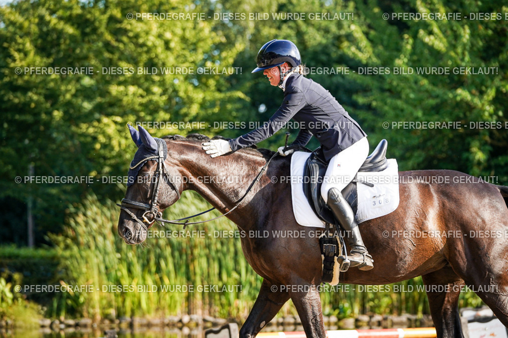 DSC08284 | Pferdegrafie