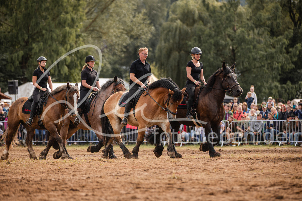 846A4002 | fotosleben - Realisiert mit Pictrs.com