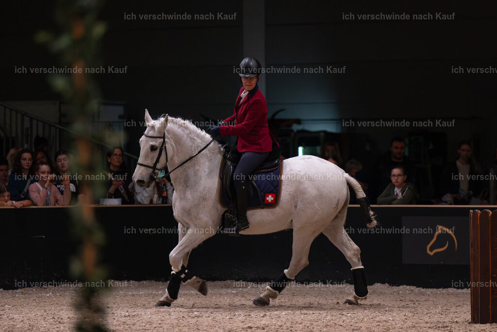 JoseraCup-122 | working equitationturnier fotograf videograf stoibphotography marixx film working equitation deutschland reitsport turnierfotografie eventfotografie equestrian events