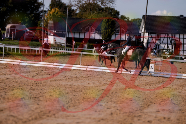 2026_10_03_Siefer-Hof_120014_Z81_01592300 | Professionelle Reitsport-, Turnier- und Eventfotografie von Robert Broda. Galerien mit ausgewählten und bearbeiteten Bildern direkt online ansehen und bestellen.