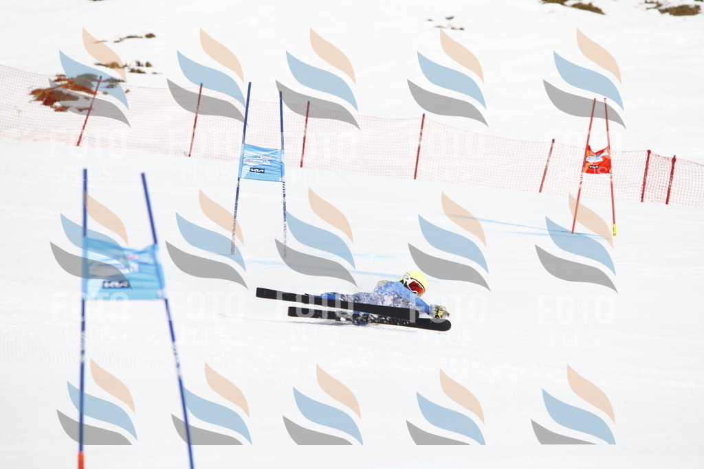 _U3G4725 | holidayphoto