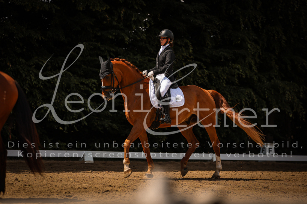 09.FrDrA200133 | Leoni Ertmer Photography - Realisiert mit Pictrs.com