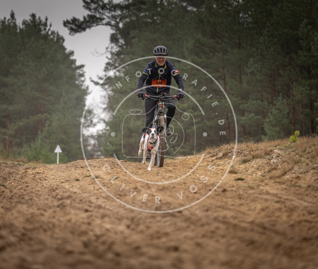 Pfotenfotografie_DV3A3565 | Hundefotografie, Tierfotograf, Pfotenfotografie, Fotoshooting Hund, Hunde Portrait, Hundesport, Hundeportraits, Heideshooting, Hunde, Sportfotograf, Hundefotograf, Turnierhundsport, THS,  - Realisiert mit Pictrs.com