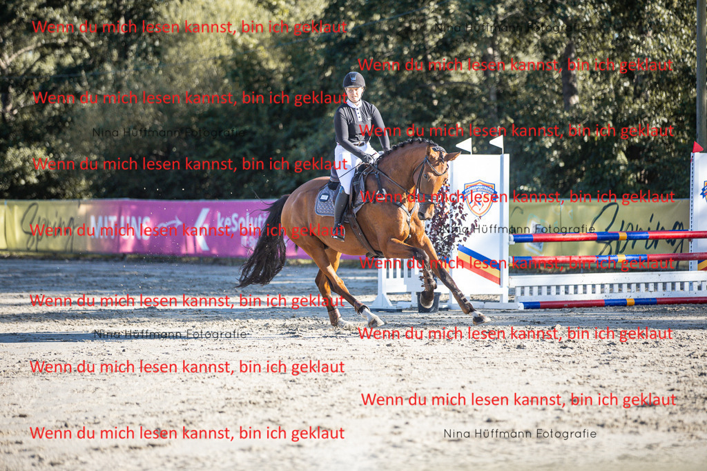 BK1A7742 | Turnierbilder Turnierfotos Nina Hüffmann Turnierfotografie Pferdefotografie Tierzeichnung Haustierzeichnung Pferdezeichnung Hundezeichnung Videograf  - Realisiert mit Pictrs.com