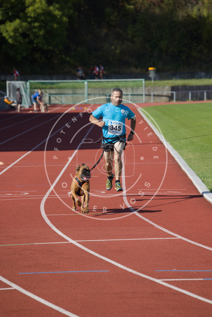 0L8A9102 | Hundefotografie, Tierfotograf, Pfotenfotografie, Fotoshooting Hund, Hunde Portrait, Hundesport, Hundeportraits, Heideshooting, Hunde, Sportfotograf, Hundefotograf, Turnierhundsport, THS,  - Realisiert mit Pictrs.com