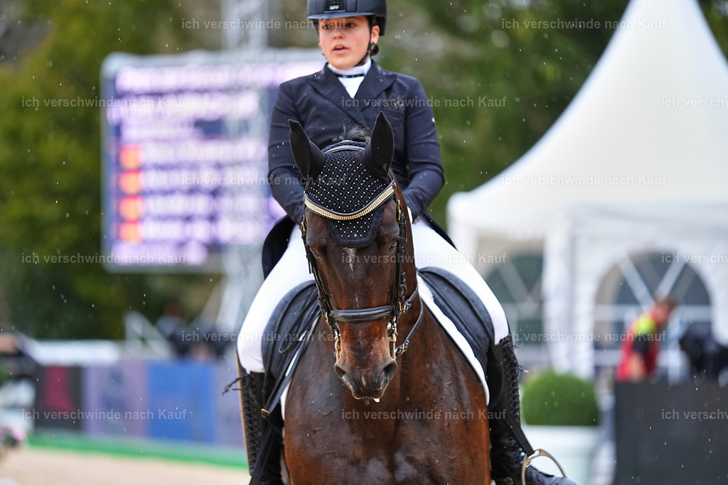 8_1-206-Klasse S_  -Marixx-4244 | working equitationturnier fotograf videograf stoibphotography marixx film working equitation deutschland reitsport turnierfotografie eventfotografie equestrian events