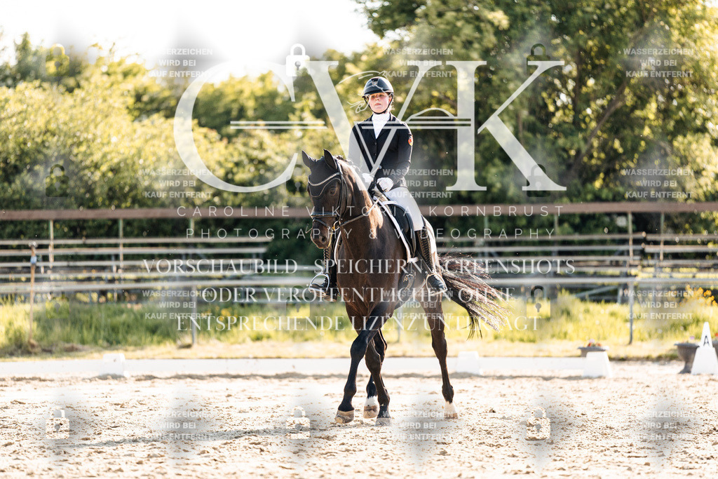 CK909885 | Turnierfotografie Pferdefotografie Trier Rheinland-Pfalz Pferdesport Reitsport Tierfotografie Sportfotografie Pferdevideo Pferdevideografie Equestrianvideography equestrianphotography  - Realisiert mit Pictrs.com