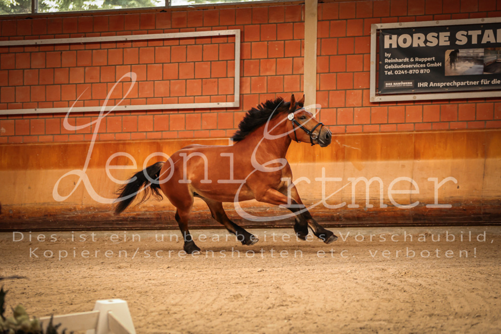 SaFL00036 | Leoni Ertmer Photography - Realisiert mit Pictrs.com