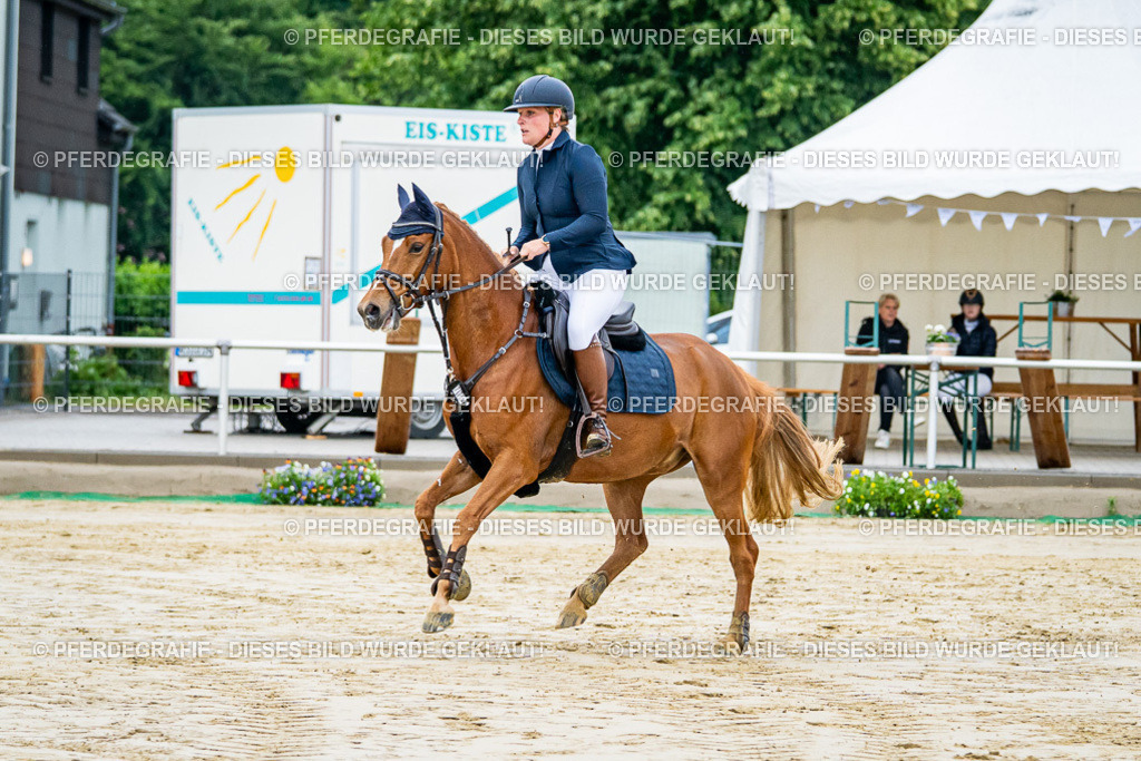 DSC01731 | Pferdegrafie