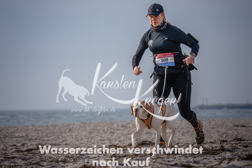 1005_ZZ93937 | kk-dogfotos