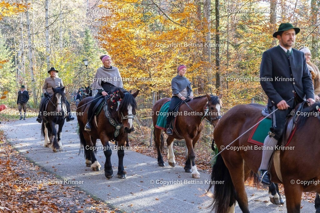 LL24-350 | foto-bettina-krinner - Realisiert mit Pictrs.com