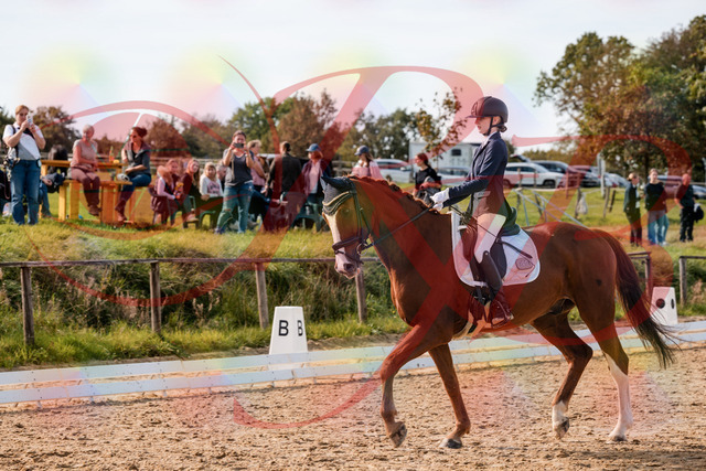 2026_10_03_Siefer-Hof_133003_Z63_91913415 | Professionelle Reitsport-, Turnier- und Eventfotografie von Robert Broda. Galerien mit ausgewählten und bearbeiteten Bildern direkt online ansehen und bestellen.