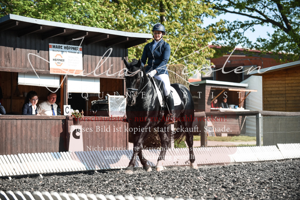 DSC_8477 | Pferde- und Turnierfotografie in Westsachsen. Pferdeportraits, Auftragszeichnungen und intuitive Kunst.