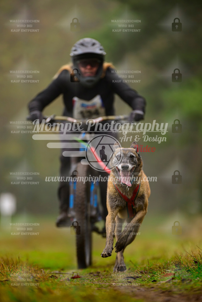 MompixPhotography_Bischwiller2025_Bike-69 | mompixphotography