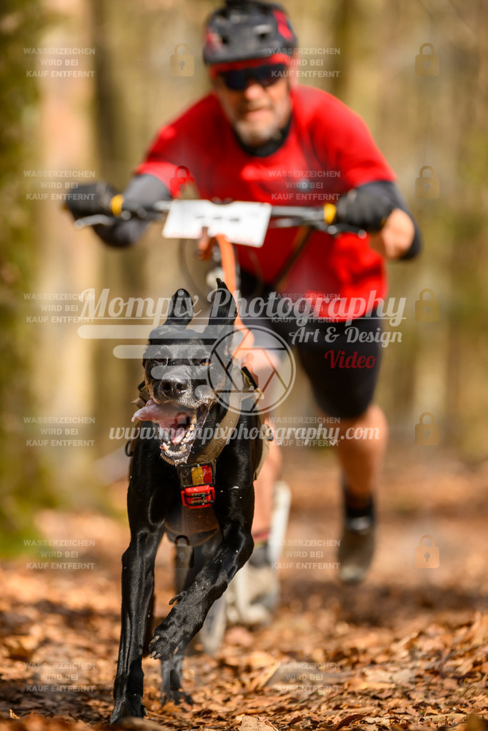 MompixPhotography_Habay2025_SA_SCO-54 | PayLife