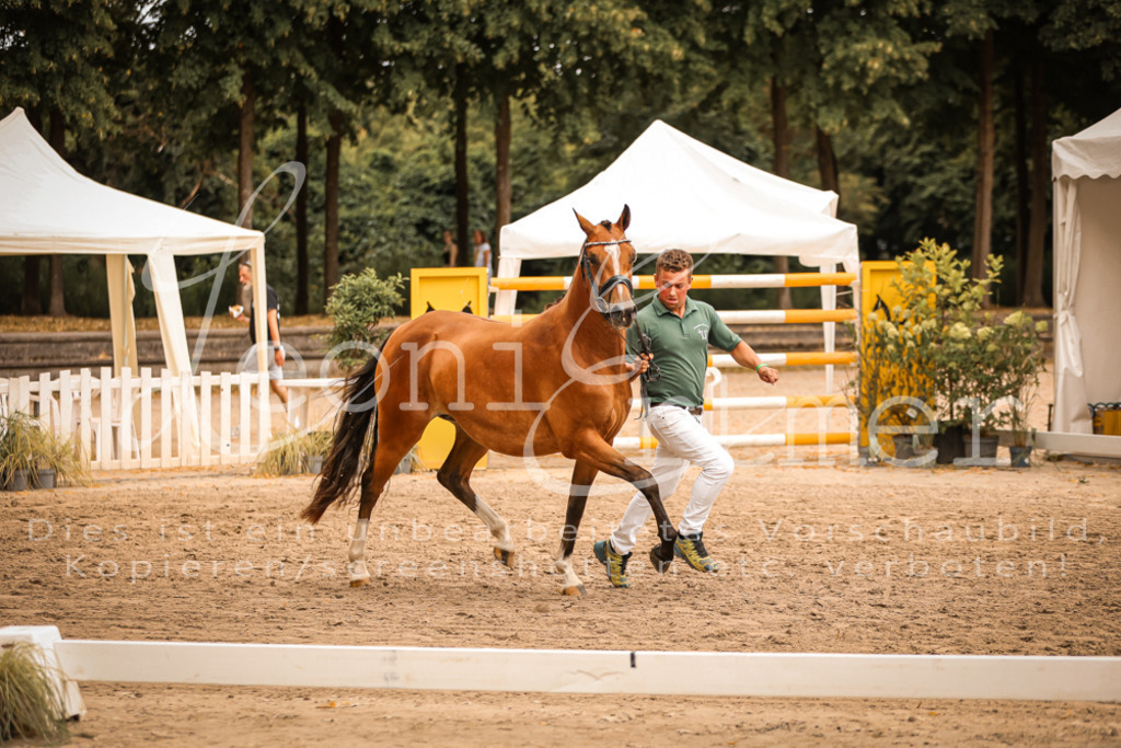 08.So00031 | Leoni Ertmer Photography - Realisiert mit Pictrs.com