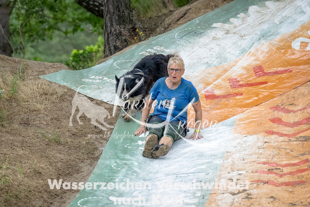 1220_ZZ91883-Bearbeitet | kk-dogfotos