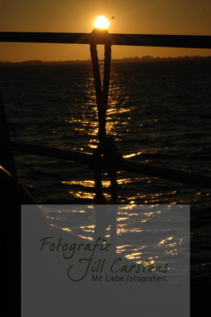 DSC_0042 | fotografie-jill-carstens