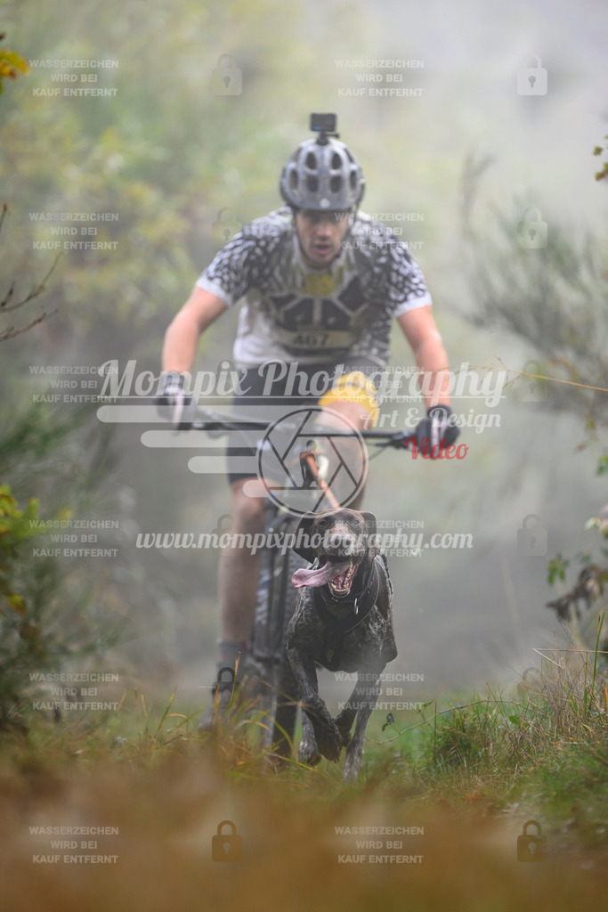 MompixPhotography_20TSB_E4_Bike-167 | PayLife