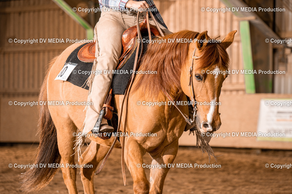 BA400450 | dv-media-shop - Realisiert mit Pictrs.com