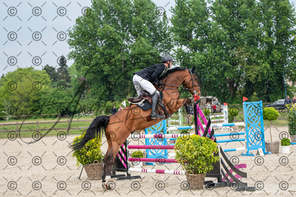 KPT_3068 | andre_photographic